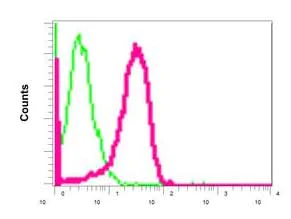 Flow Cytometry (Intracellular) - Anti-p53R2 antibody [EPR8816] (AB154194)