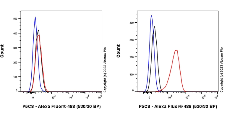 Flow Cytometry (Intracellular) - Anti-P5CS antibody [EPR28827-56] (AB315816)