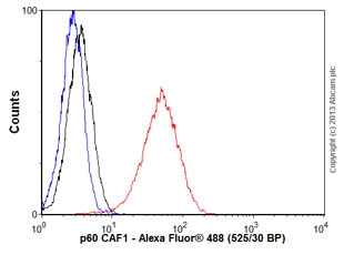 Flow Cytometry (Intracellular) - Anti-p60 CAF1/MPP7 antibody [EPR6105] (AB109442)