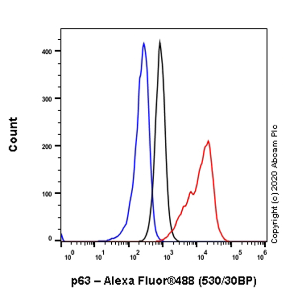 Flow Cytometry (Intracellular) - Anti-p63 antibody [EPR5701] - BSA and Azide free (AB214790), expandable thumbnail