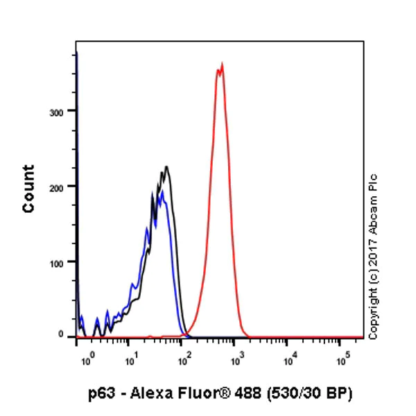 Flow Cytometry (Intracellular) - Anti-p63 antibody [Y289] (AB32353)