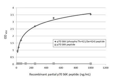 ELISA - Anti-p70 S6K phospho Thr421 Ser424 antibody [HL129] (AB308331), expandable thumbnail