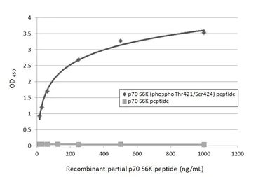 ELISA - Anti-p70 S6K phospho Thr421 Ser424 antibody [HL129] (AB308331)