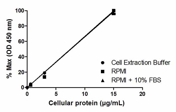 Sandwich ELISA - p70S6K (pT389) ELISA Kit (AB176651), expandable thumbnail