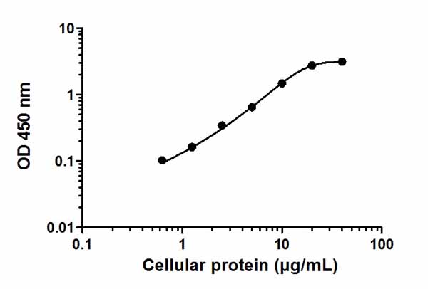 Sandwich ELISA - p70S6K (pT389) ELISA Kit (AB176651), expandable thumbnail
