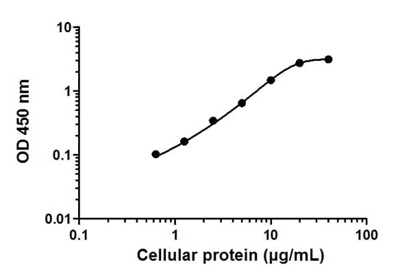 Sandwich ELISA - p70S6K (pT389) ELISA Kit (AB176651)