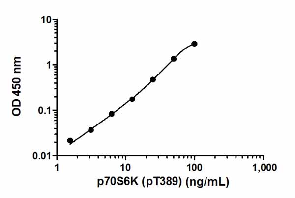 Sandwich ELISA - p70S6K (pT389) ELISA Kit (AB176651), expandable thumbnail