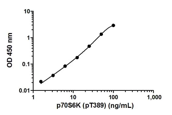 Sandwich ELISA - p70S6K (pT389) ELISA Kit (AB176651)