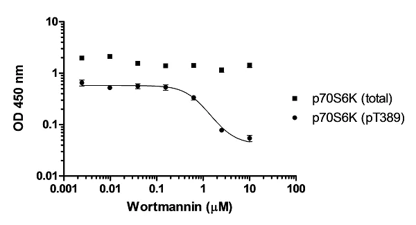 ELISA - p70S6K (pT389 + Total) ELISA Kit (AB225582)
