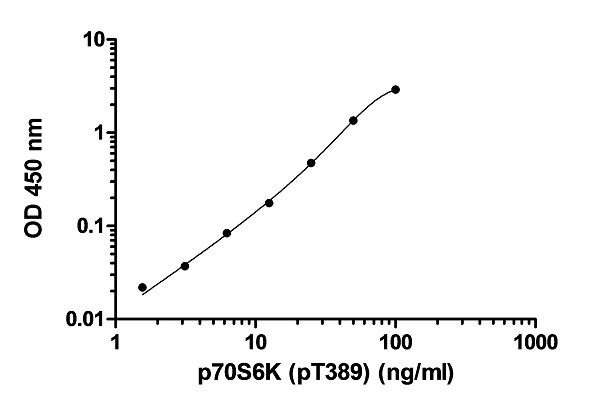 ELISA - p70S6K (pT389 + Total) ELISA Kit (AB225582), expandable thumbnail