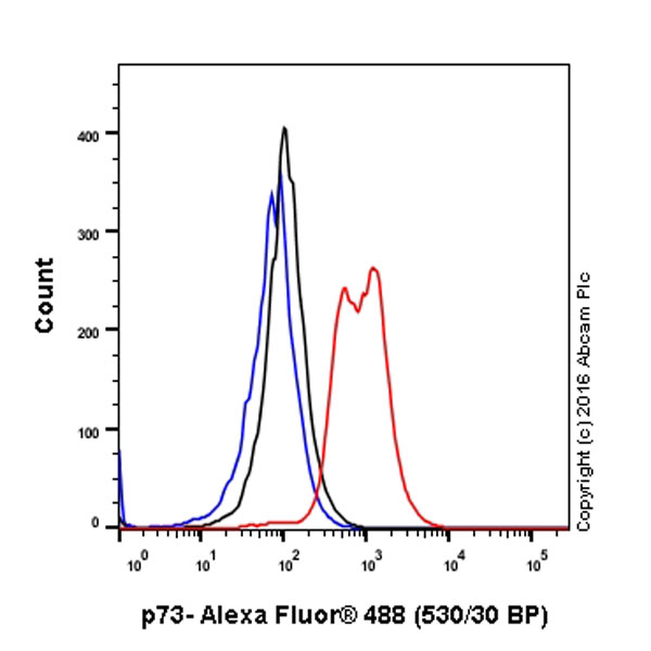 Flow Cytometry (Intracellular) - Anti-p73 antibody [EP436Y] (AB40658)