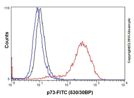 Flow Cytometry (Intracellular) - Anti-p73 antibody [EPR18409(T)(MIX)] (AB189896)