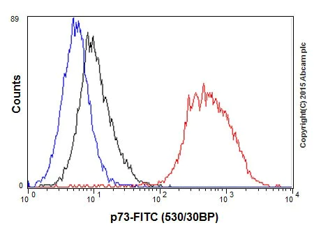 Flow Cytometry (Intracellular) - Anti-p73 antibody [EPR18409(T)(MIX)] - BSA and Azide free (AB250999)