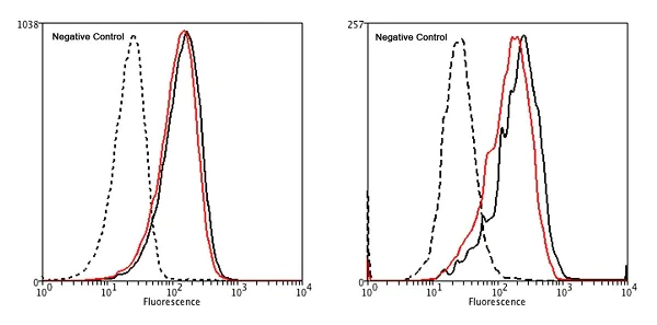 Flow Cytometry - Anti-p75 NGF Receptor antibody [8J2] (AB245134)