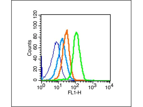 Flow Cytometry - Anti-p75 NGF Receptor antibody (AB216495)
