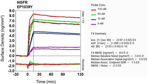 OI-RD Scanning - Anti-p75 NGF Receptor antibody [EP1039Y] - BSA and Azide free (AB256584)