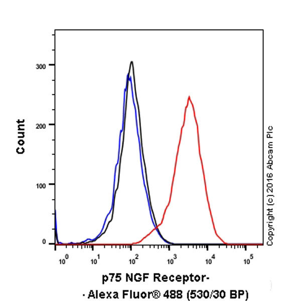 Flow Cytometry (Intracellular) - Anti-p75 NGF Receptor antibody [EP1039Y] - Low endotoxin, Azide free (ab221212), expandable thumbnail