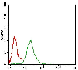 Flow Cytometry - Anti-p95/NBS1 antibody [7E4A2] (AB181729)