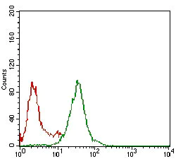 Flow Cytometry - Anti-p95/NBS1 antibody [7E4C2] (AB181780)