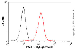 Flow Cytometry - Anti-PABP antibody [10E10] (AB6125)