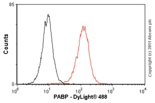 Flow Cytometry - Anti-PABP antibody [10E10] (AB6125)