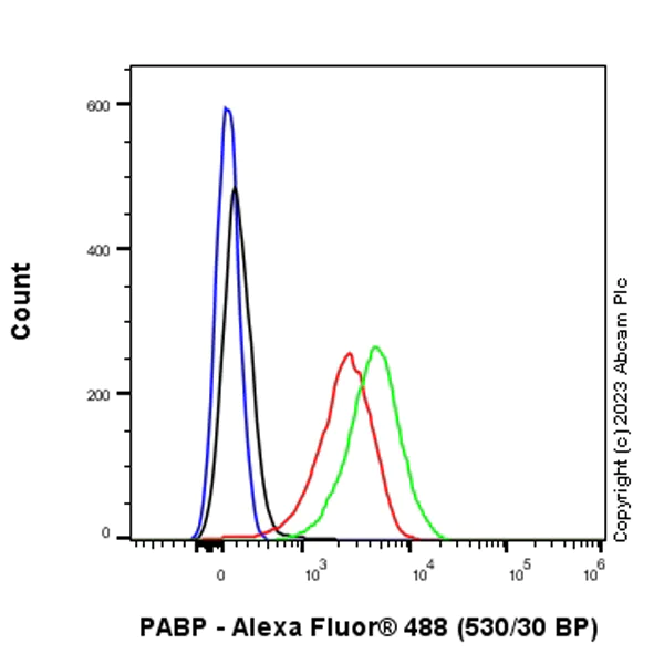 Flow Cytometry (Intracellular) - Anti-PABP antibody [EPR27188-86] (AB312314)