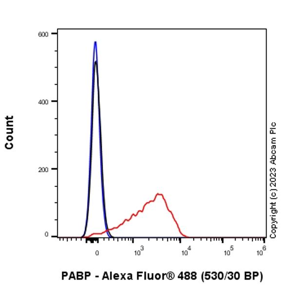 Flow Cytometry (Intracellular) - Anti-PABP antibody [EPR27188-86] - BSA and Azide free (ab312315), expandable thumbnail