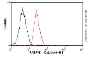 Flow Cytometry (Intracellular) - Anti-PABPN1 antibody [EP3000Y] (AB75855)