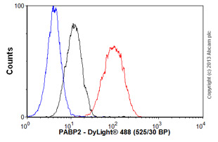 Flow Cytometry (Intracellular) - Anti-PABPN1 antibody [EP3001Y] (AB81224), expandable thumbnail