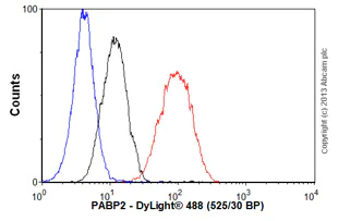 Flow Cytometry (Intracellular) - Anti-PABPN1 antibody [EP3001Y] (AB81224)