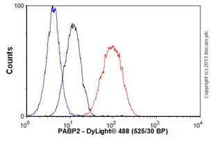 Flow Cytometry (Intracellular) - Anti-PABPN1 antibody [EP3001Y] - BSA and Azide free (AB284766)