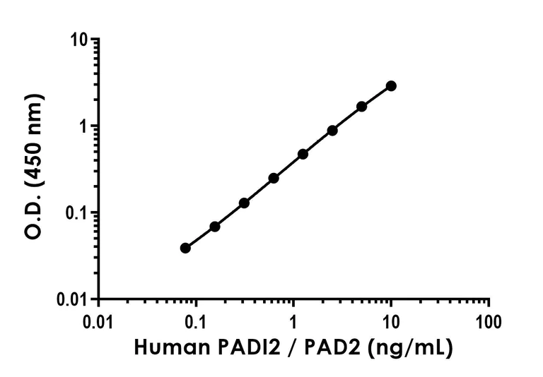 Sandwich ELISA - Anti-PADI2 / PAD2 antibody [EPR26940-342] - BSA and Azide free (Detector) (AB321828)