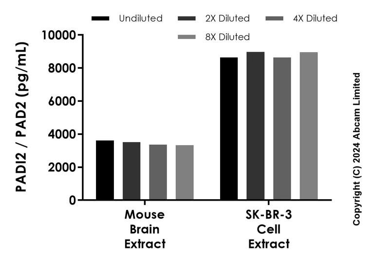 Sandwich ELISA - Anti-PADI2 / PAD2 antibody [EPR26940-342] - BSA and Azide free (Detector) (AB321828)