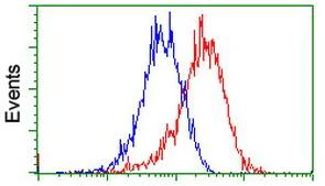 Flow Cytometry (Intracellular) - Anti-PADI4 / PAD4 antibody [OTI4H5] (AB128086)