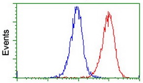 Flow Cytometry (Intracellular) - Anti-PADI4 / PAD4 antibody [OTI4H5] (ab128086), expandable thumbnail