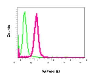Flow Cytometry (Intracellular) - Anti-PAFAH1B2 antibody [EPR11250] - BSA and Azide free (AB249342)