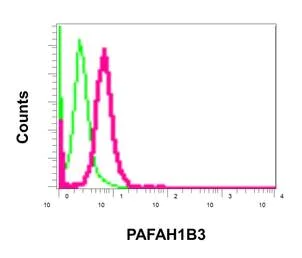 Flow Cytometry (Intracellular) - Anti-PAFAH1B3 antibody [EPR11231-10-6] - BSA and Azide free (AB249557)