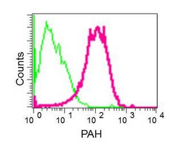 Flow Cytometry (Intracellular) - Anti-PAH antibody [EPR12380] - BSA and Azide free (AB202431), expandable thumbnail