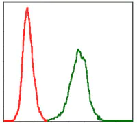Flow Cytometry - Anti-PAI1 antibody [1D5] (AB125687)