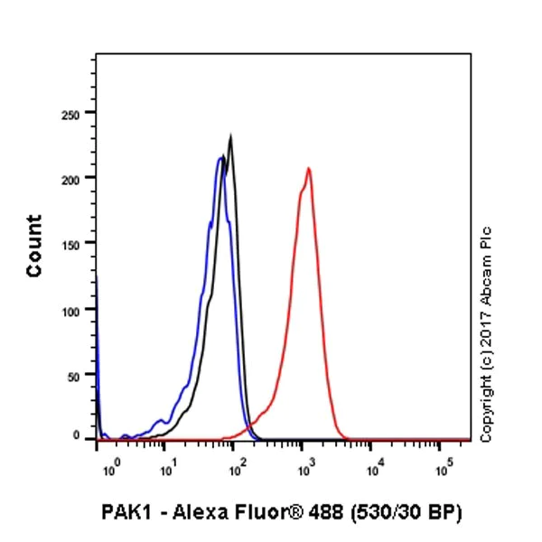 Flow Cytometry (Intracellular) - Anti-PAK1 antibody [EPR20048] - BSA and Azide free (AB242421)