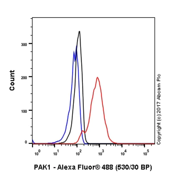 Flow Cytometry (Intracellular) - Anti-PAK1 antibody [EPR20048] - BSA and Azide free (AB242421)
