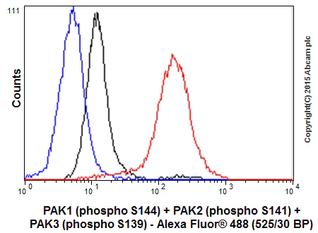 Flow Cytometry (Intracellular) - Anti-PAK1 (phospho S144) + PAK2 (phospho S141) + PAK3 (phospho S154) antibody [EP656Y] (AB40795)