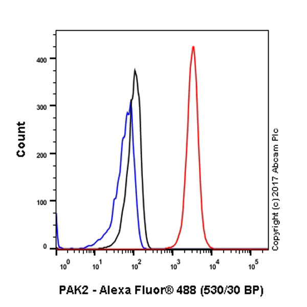 Flow Cytometry (Intracellular) - Anti-PAK2 antibody [EP796Y] (ab76293), expandable thumbnail