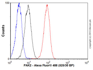 Flow Cytometry (Intracellular) - Anti-PAK2 antibody [EP796Y] (ab76293), expandable thumbnail