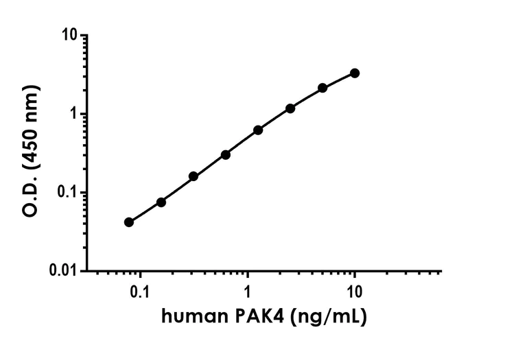 Sandwich ELISA - Anti-PAK4 antibody [EPR25195-48] - BSA and Azide free (Capture) (AB290664)