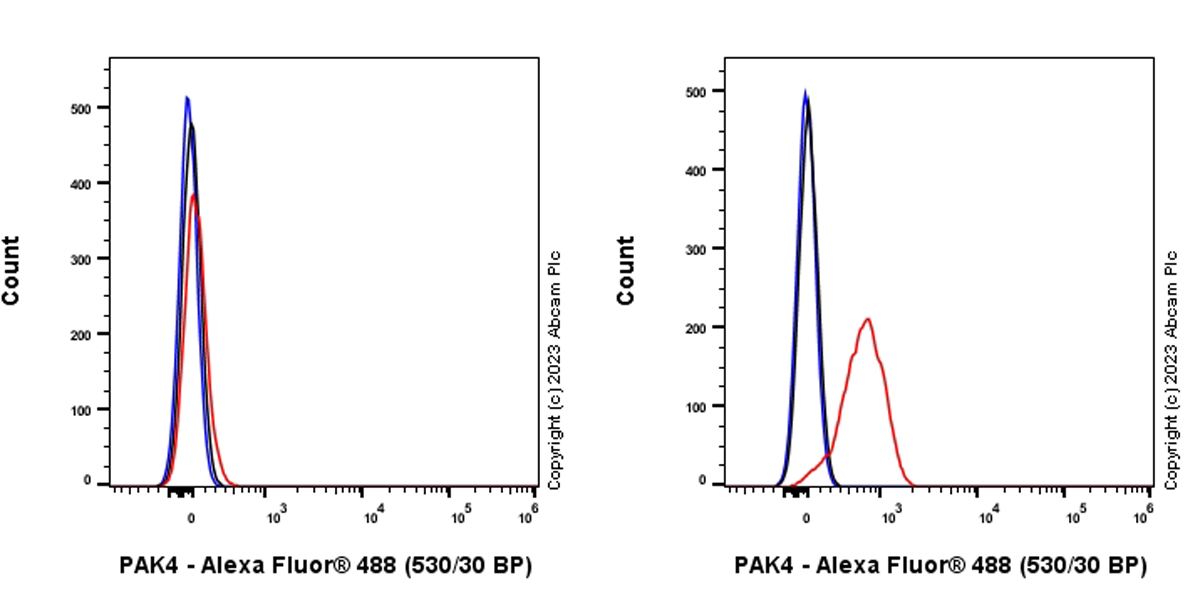 Flow Cytometry (Intracellular) - Anti-PAK4 antibody [EPR28630-82] - BSA and Azide free (AB314766), expandable thumbnail