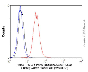Flow Cytometry (Intracellular) - Anti-PAK4 + PAK5 + PAK6 (phospho S474 + S560 + S602) antibody [EPR2471(2)] (AB134097)