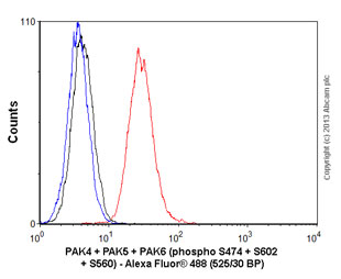 Flow Cytometry (Intracellular) - Anti-PAK4 + PAK5 + PAK6 (phospho S474 + S560 + S602) antibody [EPR2471(2)] - BSA and Azide free (AB248680)