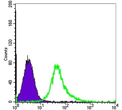 Flow Cytometry - Anti-pan Actin Antibody [4A4] (AB119952)