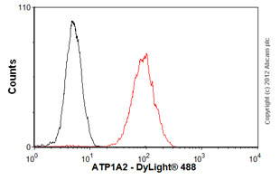 Flow Cytometry - Anti-pan ATPase Alpha antibody [M7-PB-E9] - Plasma Membrane Loading Control (AB2871), expandable thumbnail